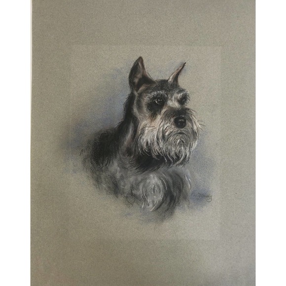 Vintage Pastel Drawing Schnauzer Gray Dog Original Art - Picture 5 of 8